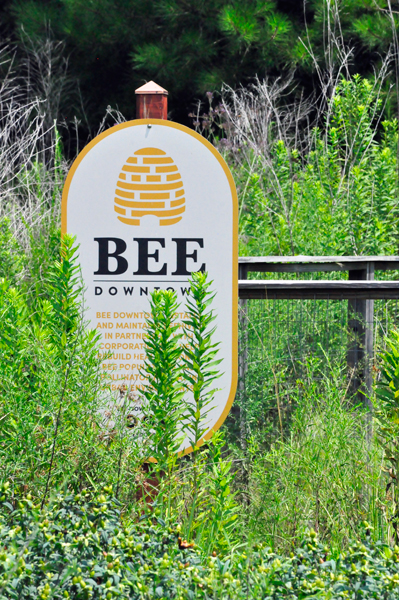 Bee sign